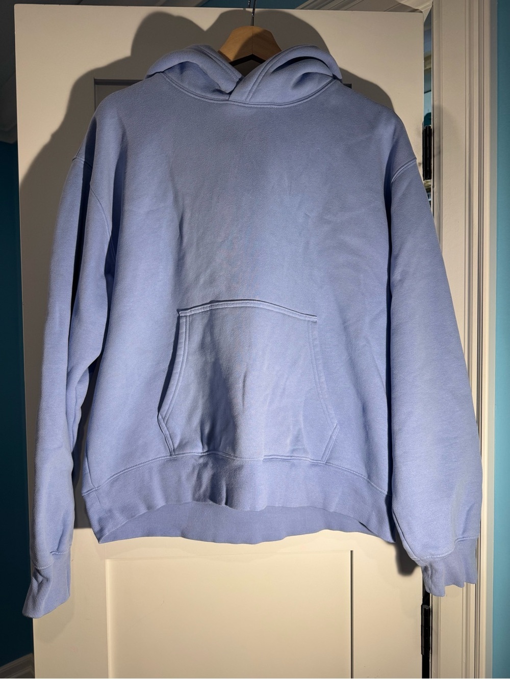 Aritzia Dayflower Hoodie